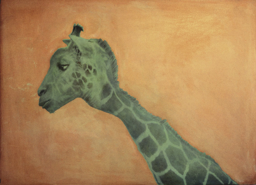 giraffe