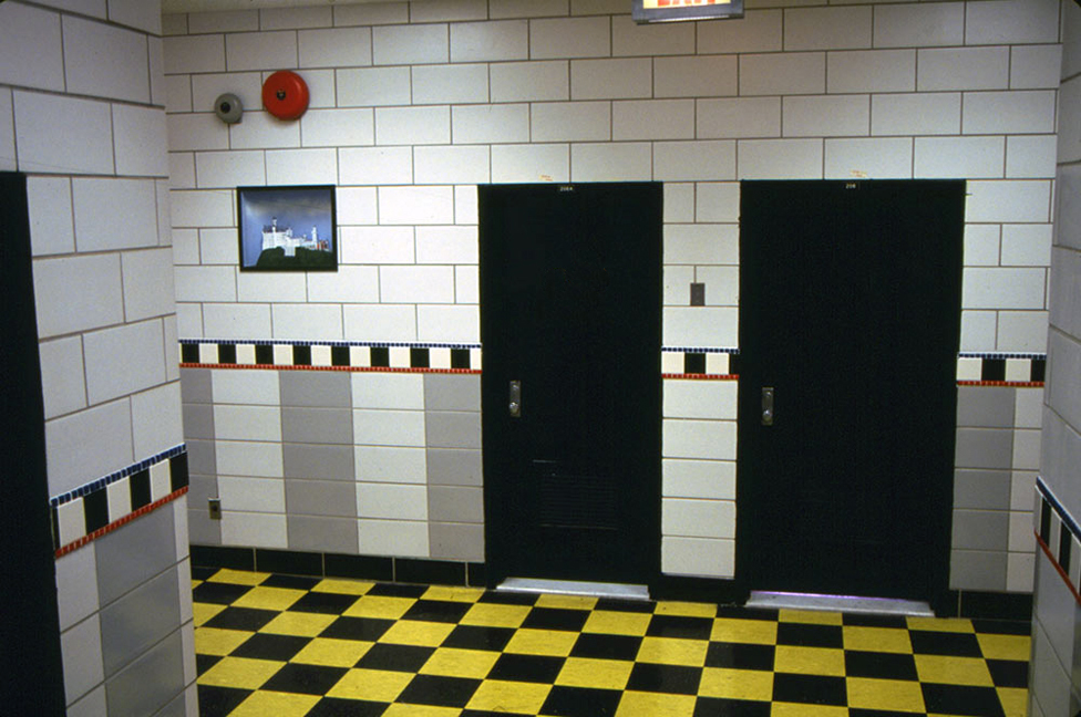 PS7hallschwan