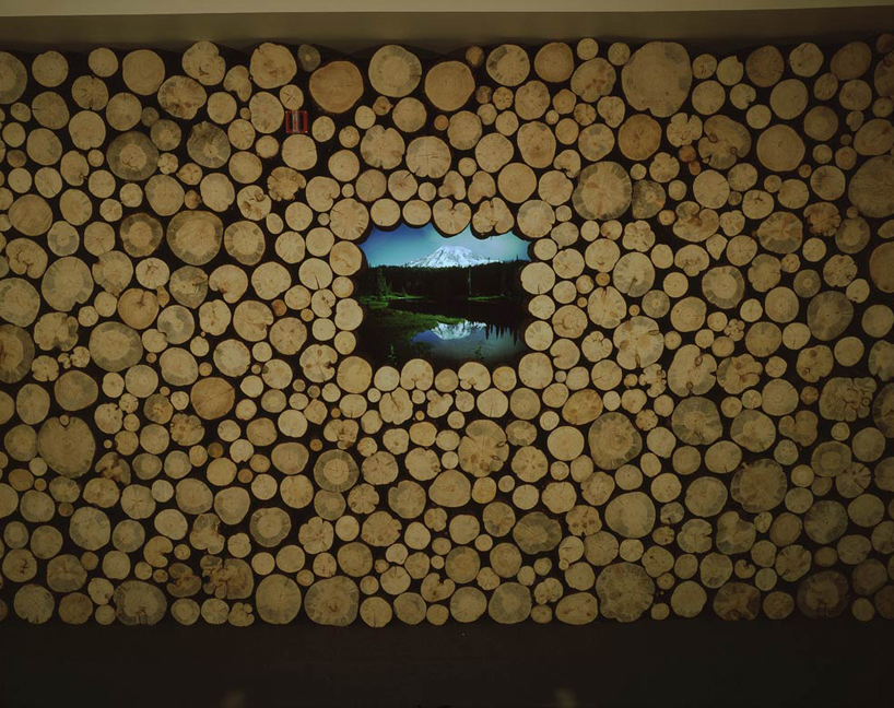 logs