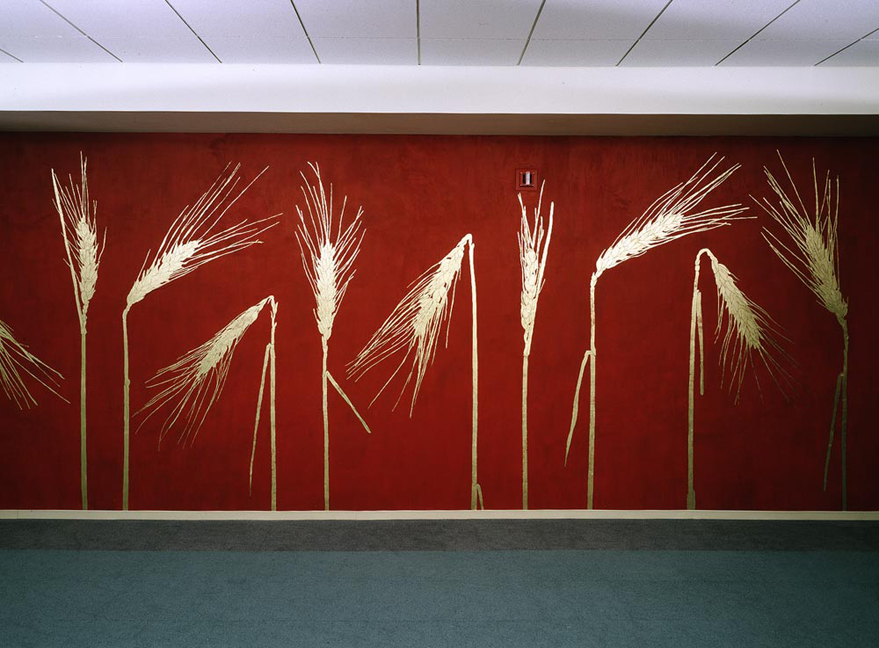 wheat